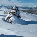 Die Steinernenmandler im Winter