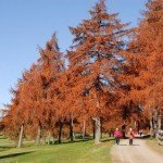 Salten Herbst