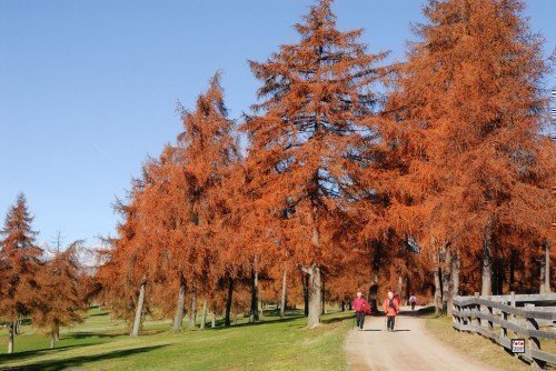 Salten-Herbst-